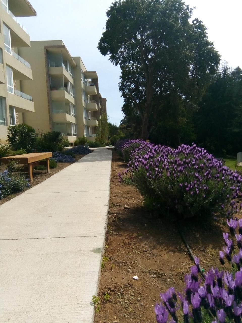 דירות Departamento En פאפודו מראה חיצוני תמונה