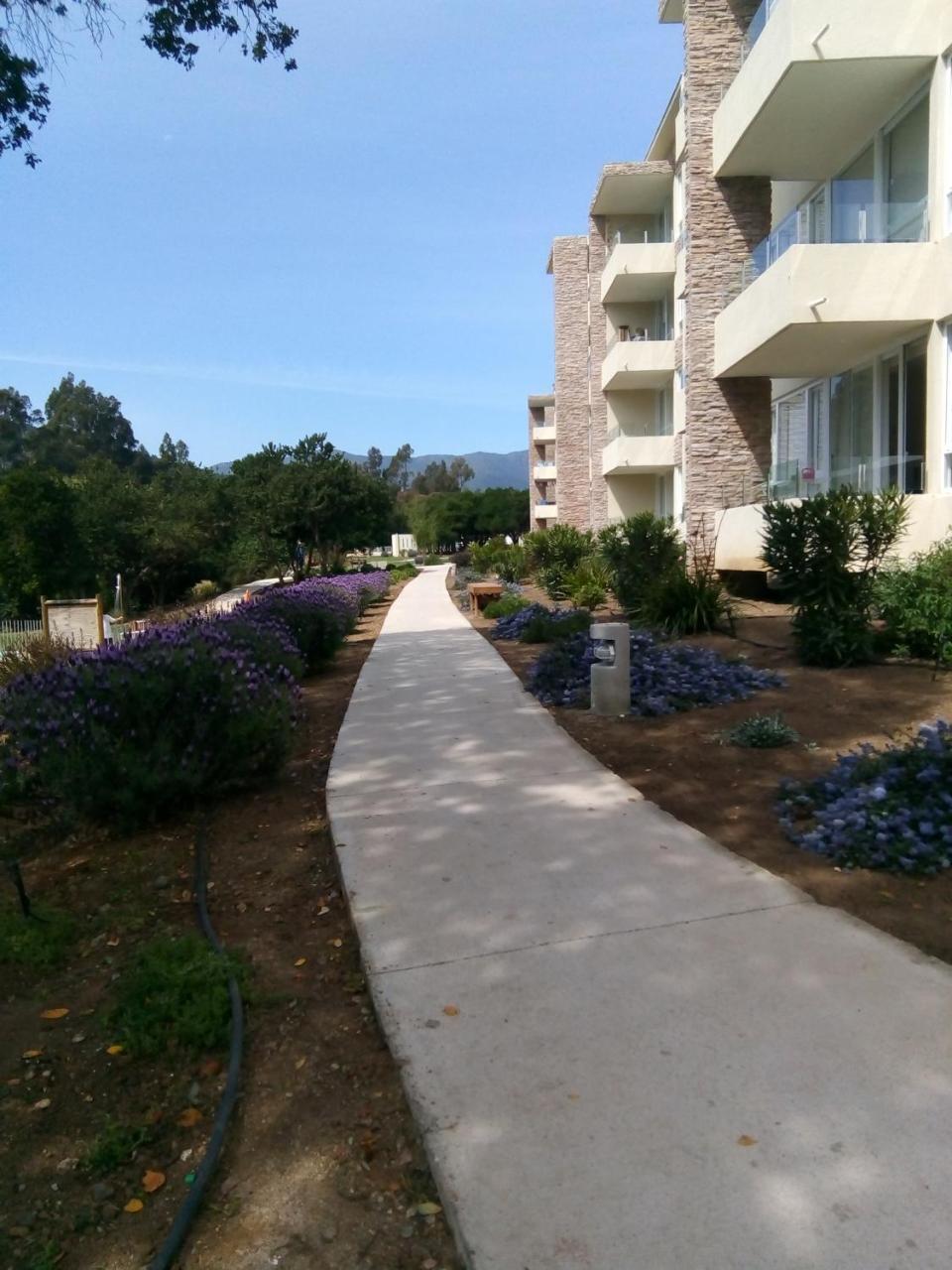 דירות Departamento En פאפודו מראה חיצוני תמונה